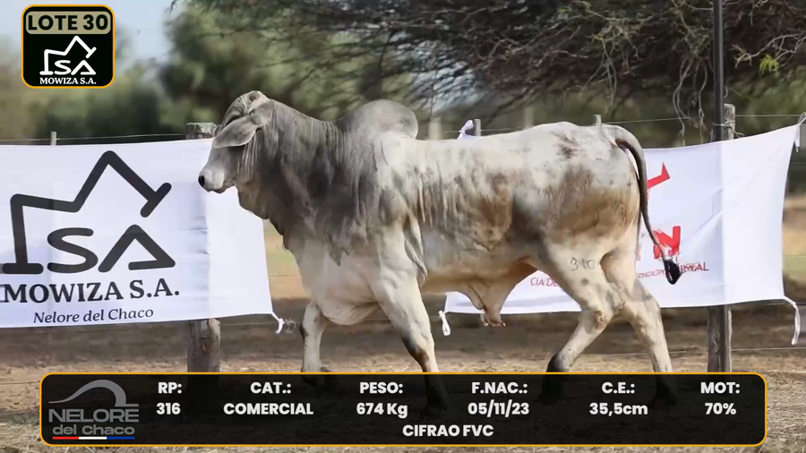 Lote LOTE 30