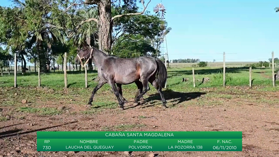 Lote Laucha del Queguay