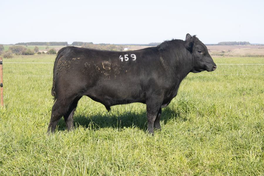 Lote 34