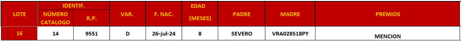Lote LOTE 16