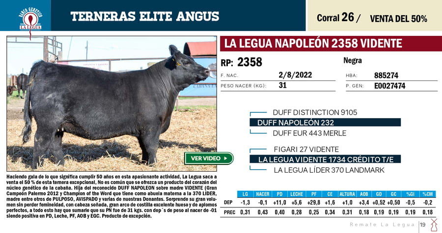 Lote TERNERAS ELITE (SE VENDE EL 50%)