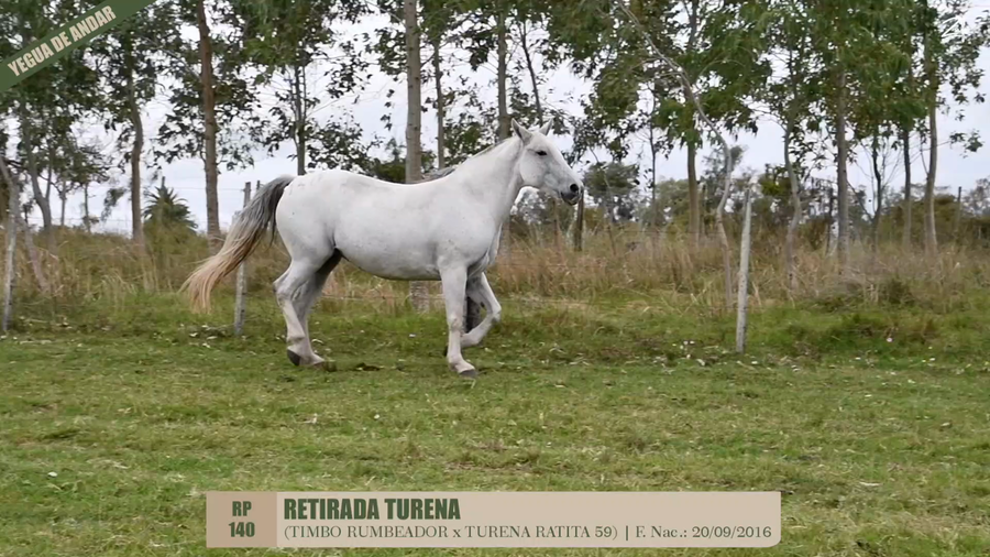 Lote RETIRADA TURENA
