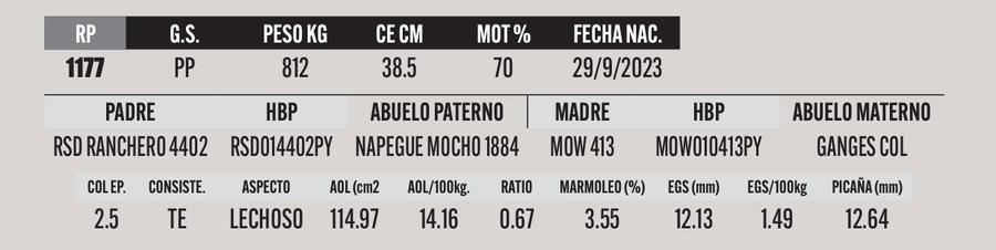 Lote LOTE 57