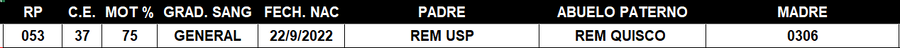 Lote LOTE 51