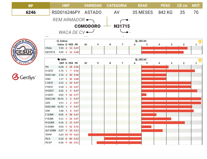 Lote LOTE 16