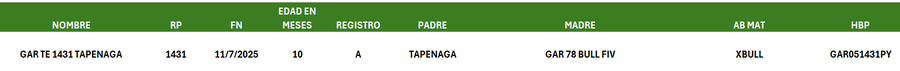 Lote LOTE 31