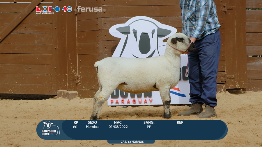 Lote LOTE 11 - BOZAL