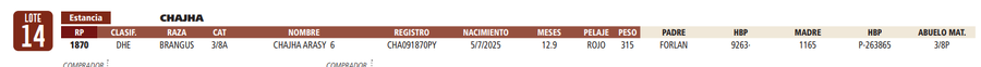 Lote LOTE 14
