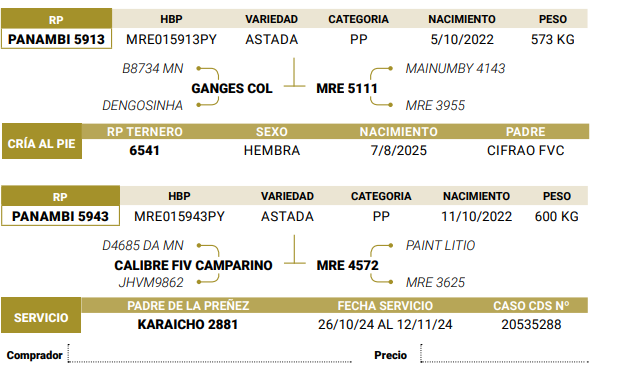 Lote LOTE 51