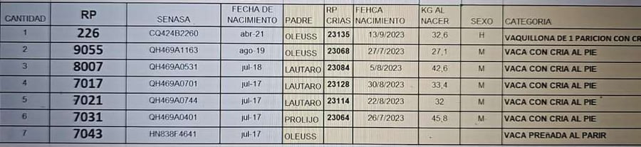 Lote 7 Vacas PC C/ cria  en Concepción del Uruguay, Entre Ríos