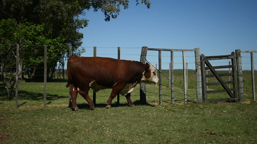 Lote "Valle Del Laurel" , RP 443