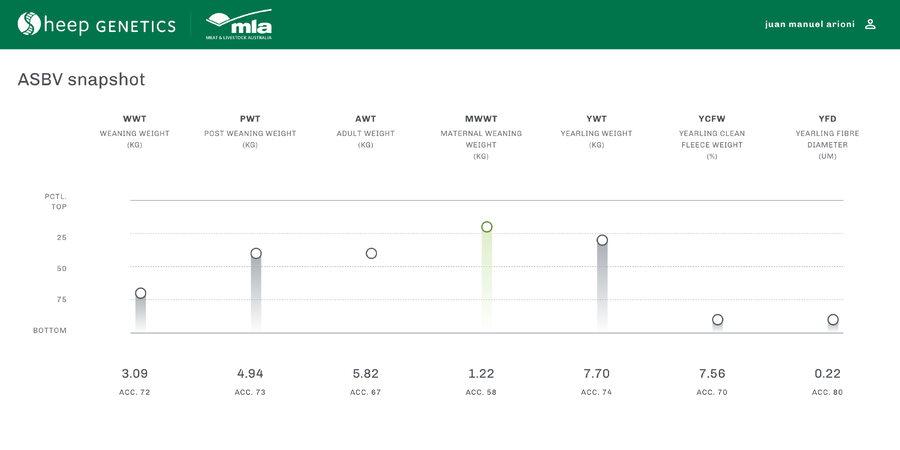 Lote Carnero TOP, 21-1409