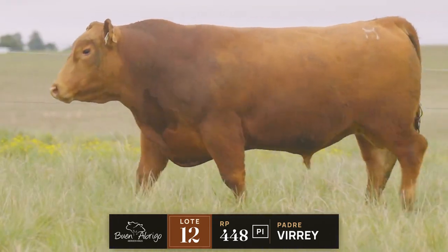 Lote LOTE 12 · TORO PC · RP 1469, 461, 448