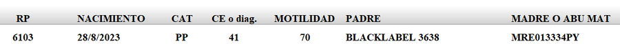 Lote LOTE 49