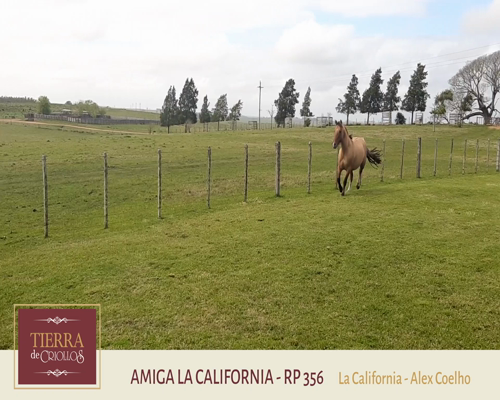Lote Amiga La California (RP 356) - Cabaña La California