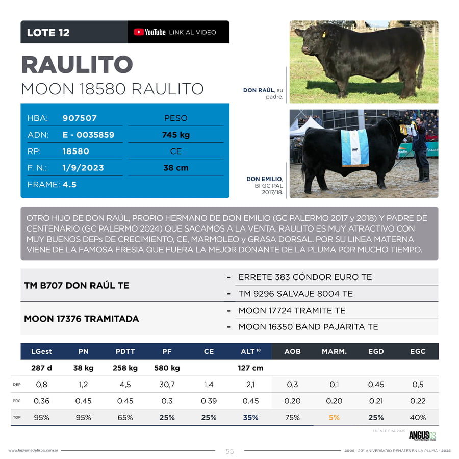 Lote RP 18580 - TOROS PP ELITE