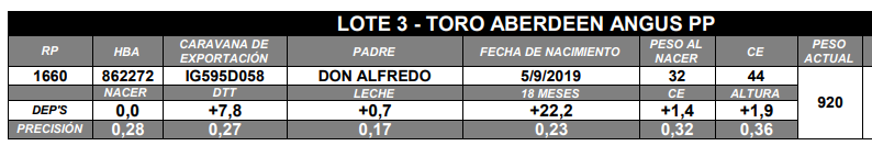 Lote TORO ANGUS PP