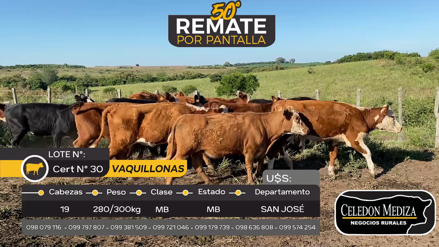 Lote 19 Vaquillonas  en San José , San José