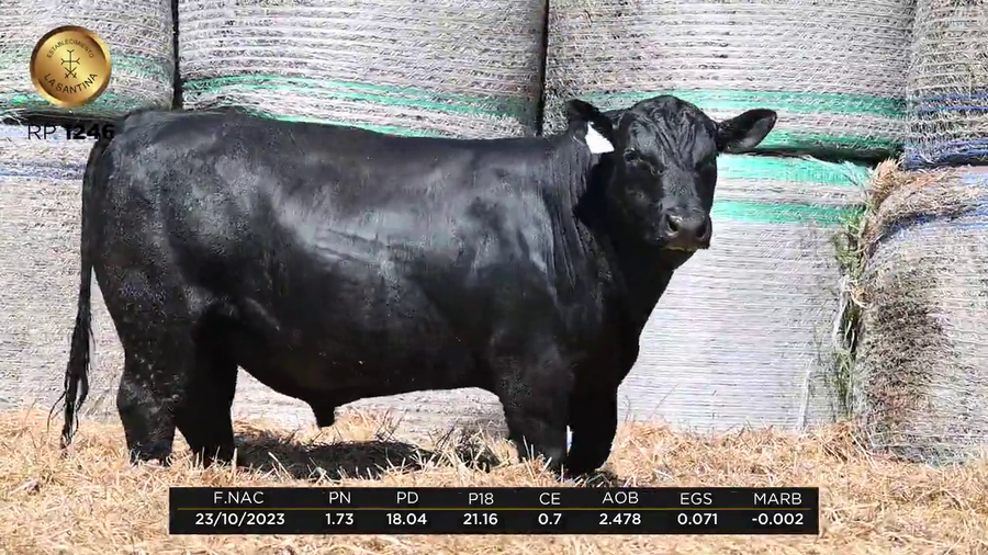 Lote LA SANTINA CHARLO 995-1246