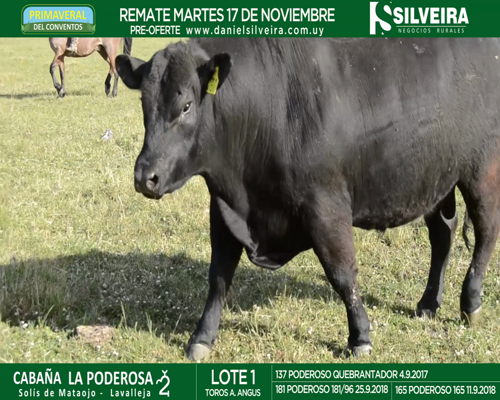 Lote Cabaña La Poderosa