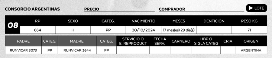 Lote LOTE 8