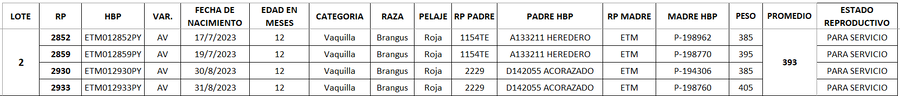 Lote LOTE 2