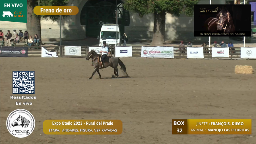 Lote MANOJO LAS PIEDRITAS - LAS PIEDRITAS Y CARLOS LOWE