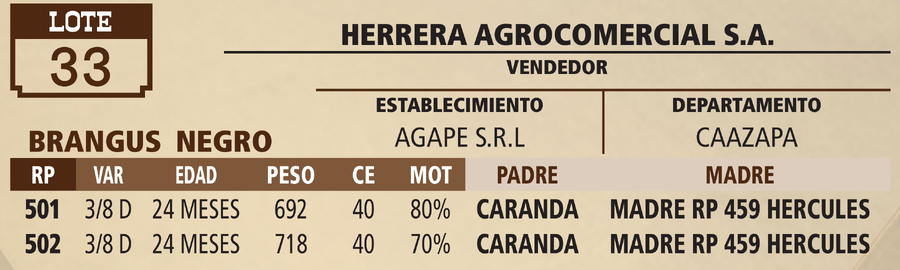 Lote LOTE 33 - VIVO