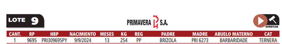 Lote LOTE 9