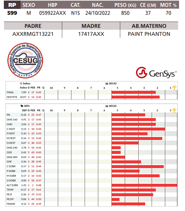 Lote LOTE 26