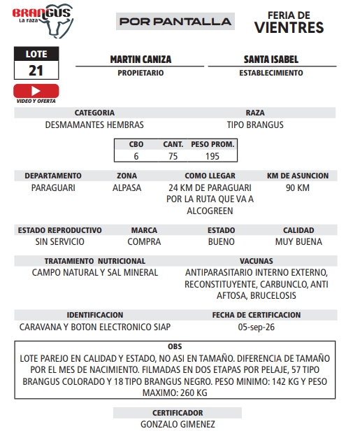 Lote LOTE 21 - POR PANTALLA