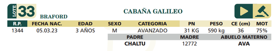 Lote LOTE 33