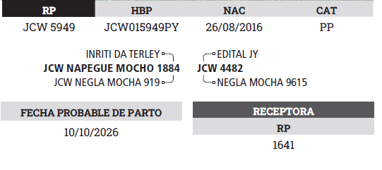 Lote LOTE 3 - PREÑECES