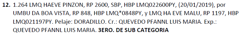 Lote LOTE 12