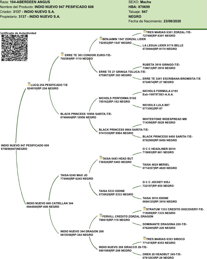 Lote "Toros ""SANTA ROSA"""