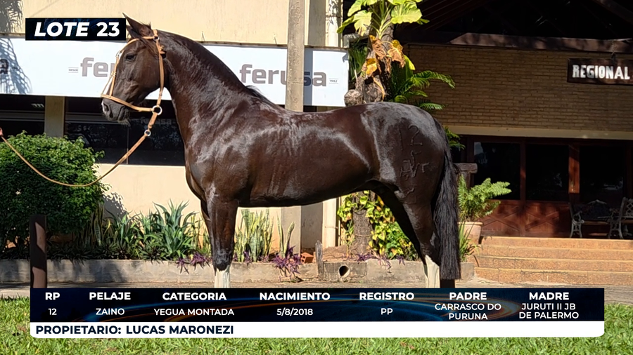 Lote LOTE 23- DE BOZAL