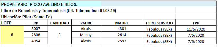 Lote 3 Vaquillonas en Pilar, Santa Fe