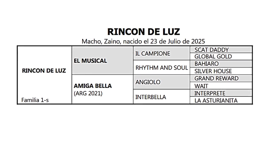 Lote RINCON DE LUZ
