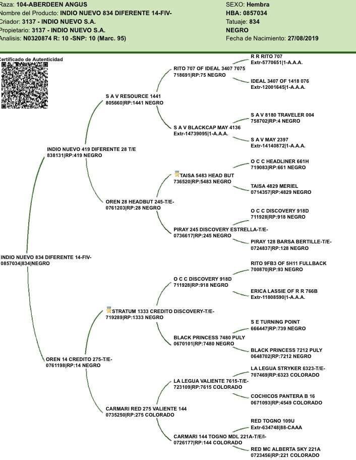 Lote VAQUILLONAS CON CRIA SANTA ROSA