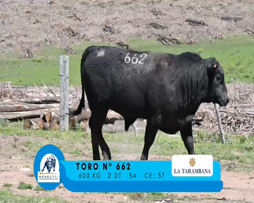 Lote TORO 662