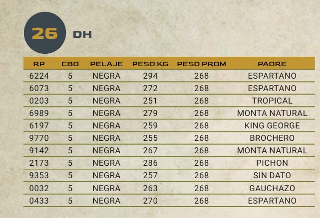 Lote LOTE 26