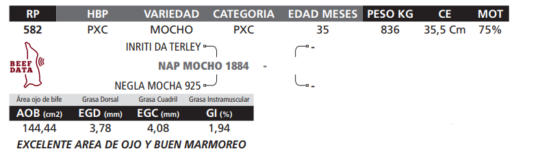 Lote LOTE 25