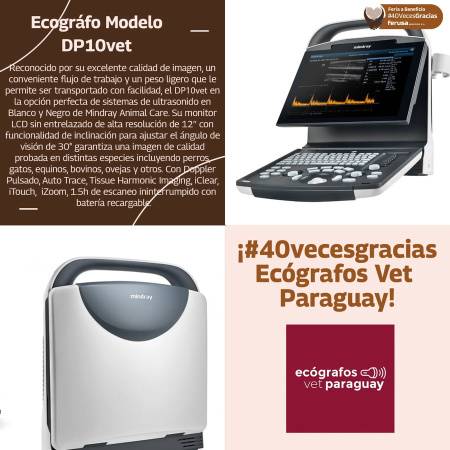 Lote ECOGRAFO