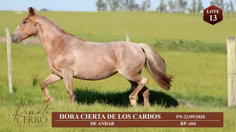 Lote HORA CIERTA DE LOS CARDOS