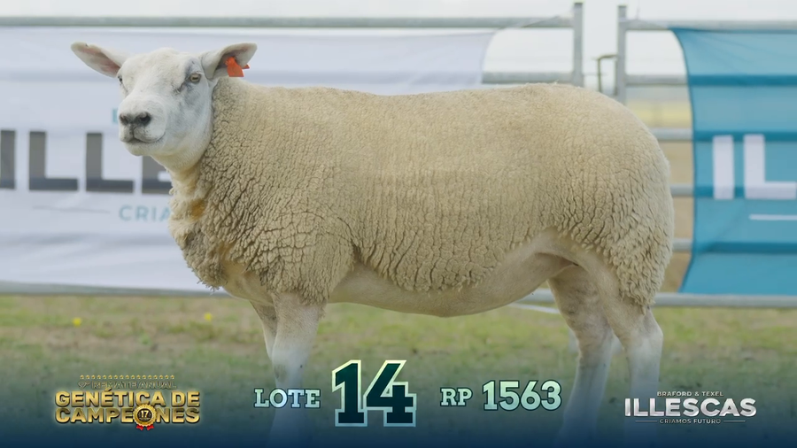 Lote LOTE 14 C - RP 1563