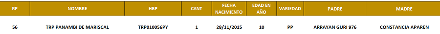 Lote LOTE 13