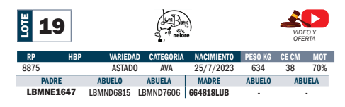 Lote LOTE 19