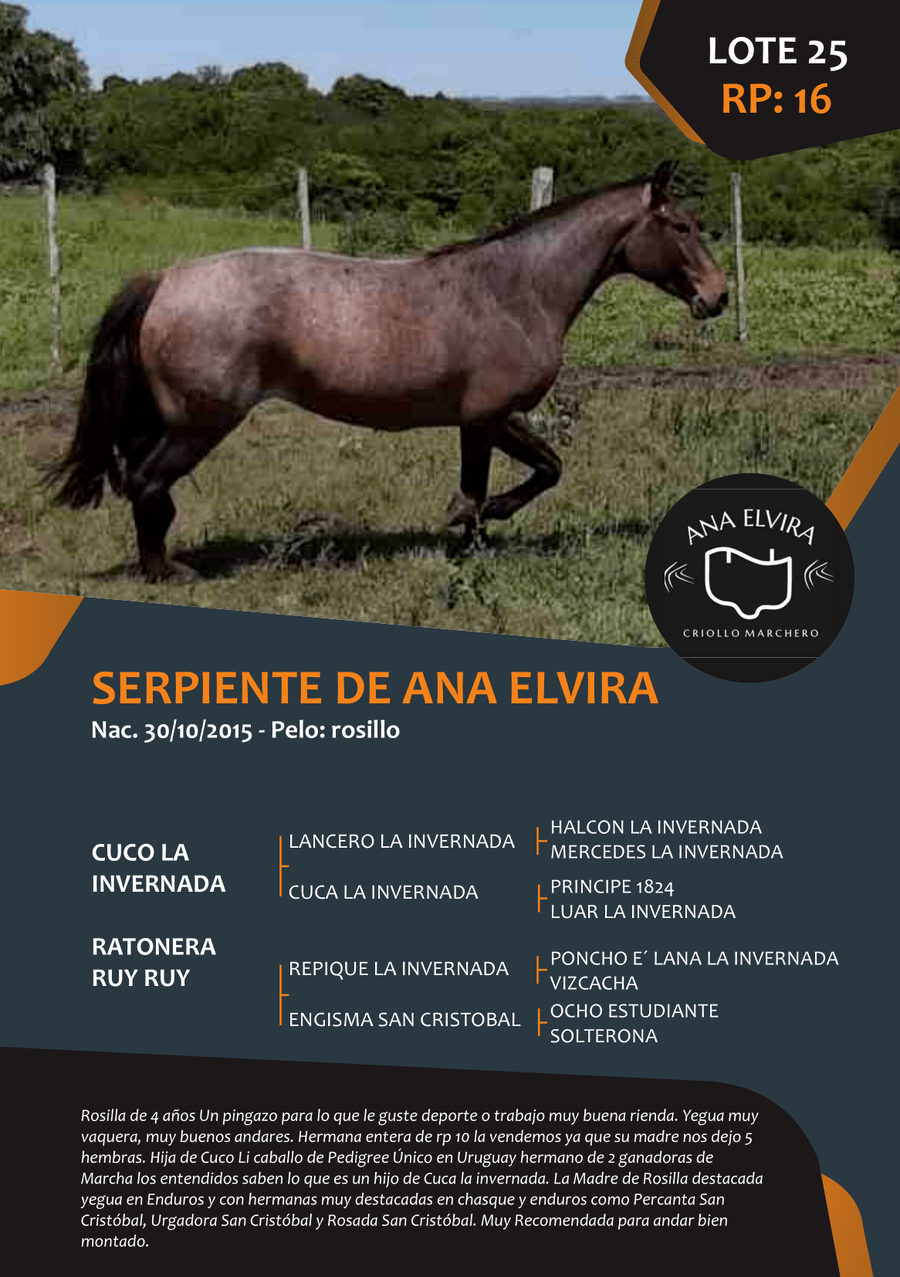 Lote RP  16 - SERPIENTE DE ANA ELVIRA