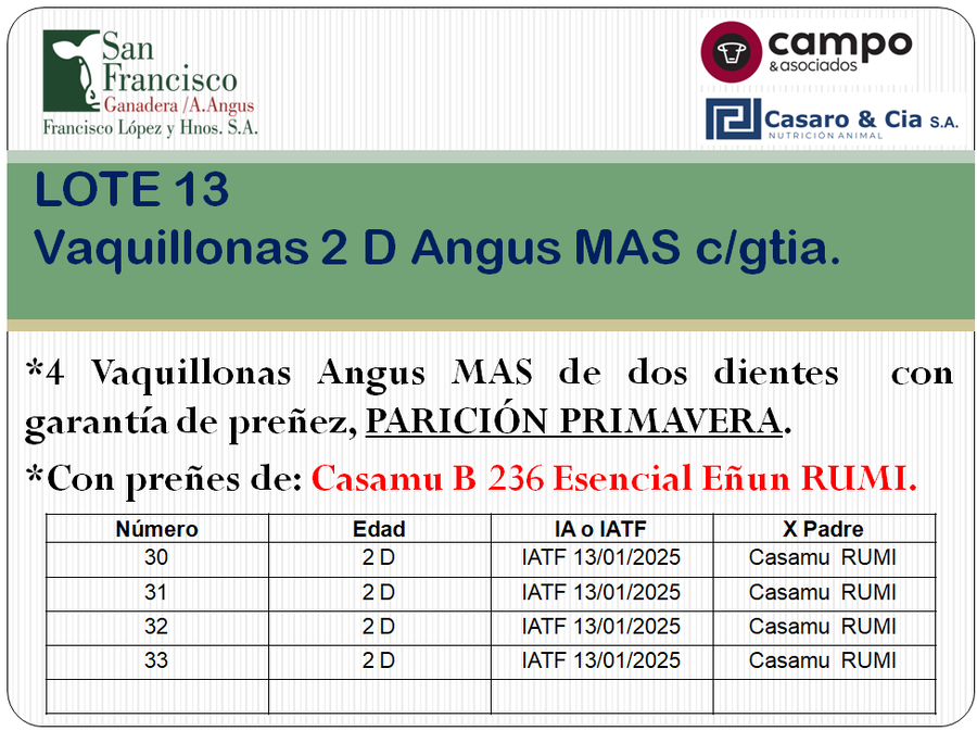Lote 4 Vaquillonas Angus MaS con garantía de preñez, al parir. San Francisco