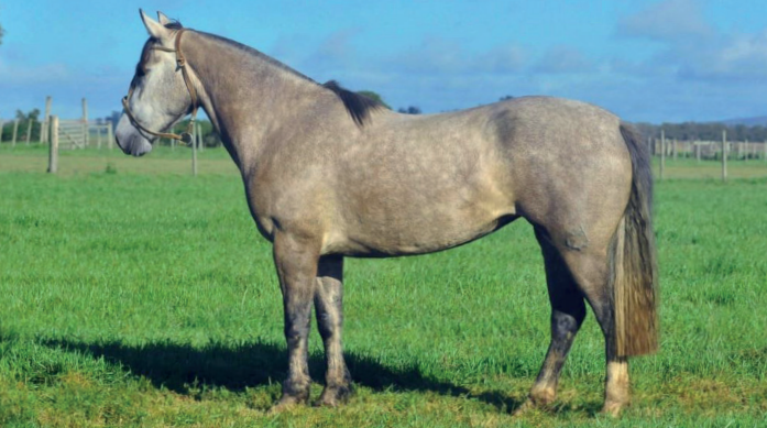 Lote CAÑADA NOCHE CLARA